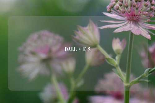 DALL·E 2