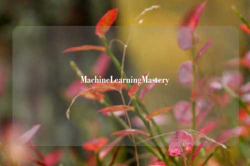 MachineLearningMastery