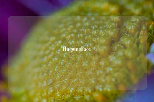 HuggingFace