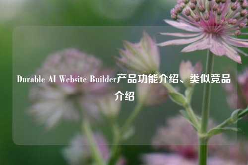 Durable AI Website Builder产品功能介绍、类似竞品介绍