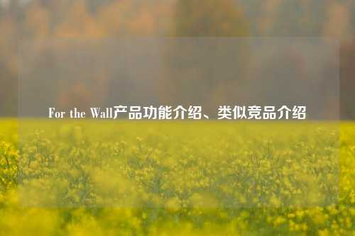 For the Wall产品功能介绍、类似竞品介绍