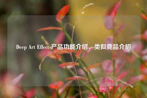 Deep Art Effects产品功能介绍、类似竞品介绍