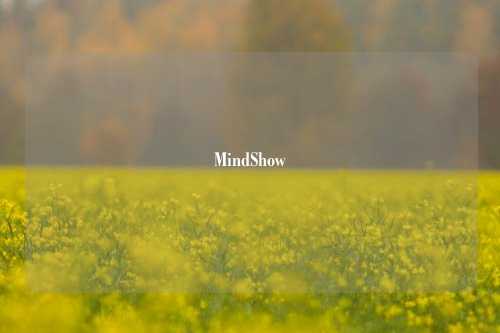 MindShow