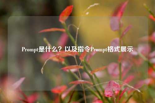 Prompt是什么？以及指令Prompt格式展示