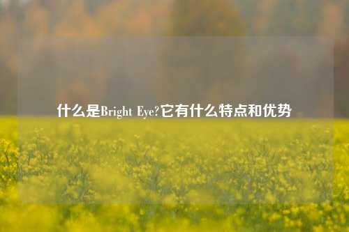 什么是Bright Eye?它有什么特点和优势