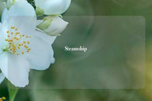 Steamship