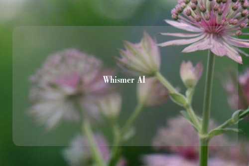 Whismer AI