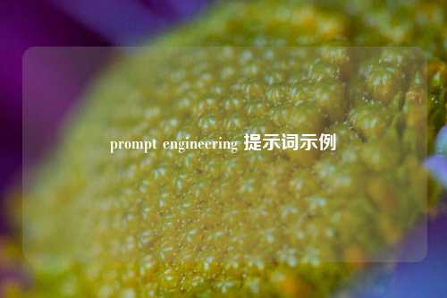 prompt engineering 提示词示例