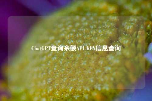 ChatGPT查询余额API-KEY信息查询