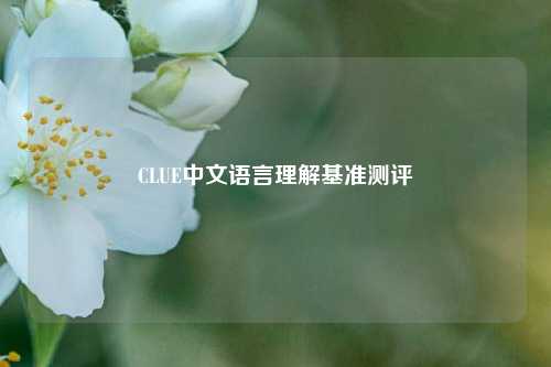 CLUE中文语言理解基准测评