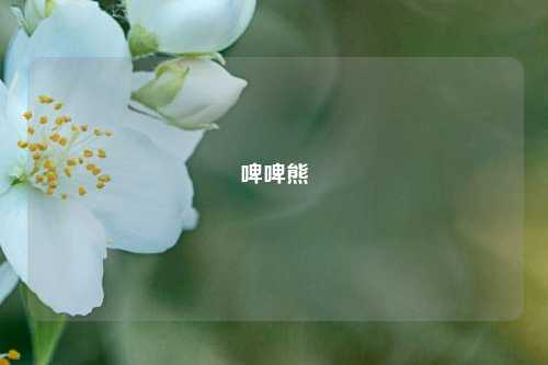 啤啤熊